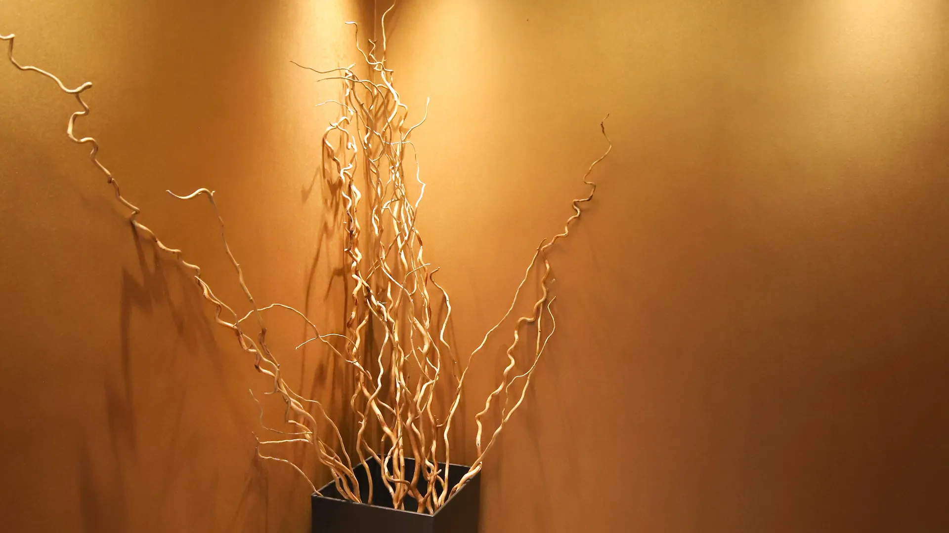 ****  Hotel Latinum Rome Italy